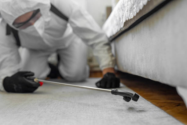 Professional Termite Control technician working in West Chicago, IL