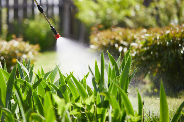 24/7 Emergency Termite Control experts in West Chicago, IL